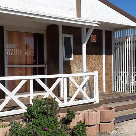 Parque De Campismo Da Praia Da Barra Gafanha da Nazaré Eksteriør billede