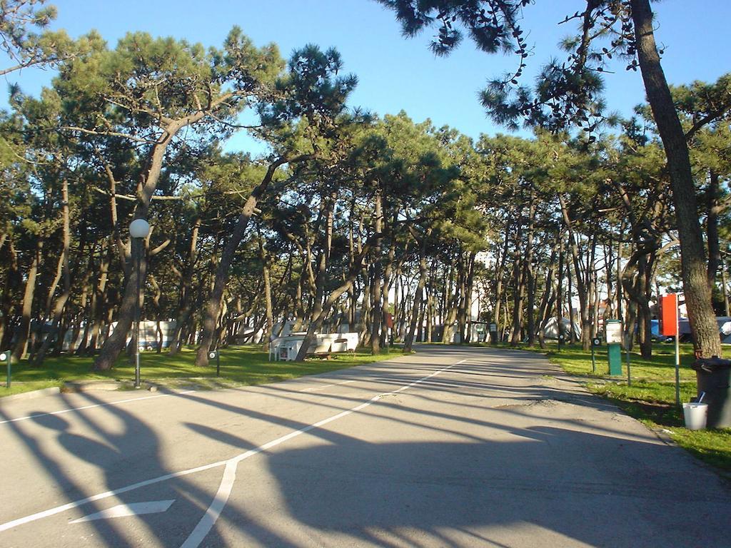 Parque De Campismo Da Praia Da Barra Gafanha da Nazaré Eksteriør billede